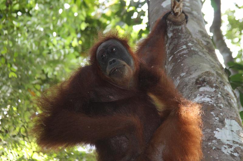 IMG_6752.JPG