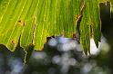 IMG_6821