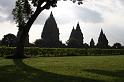 IMG_7116