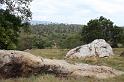 IMG_7507